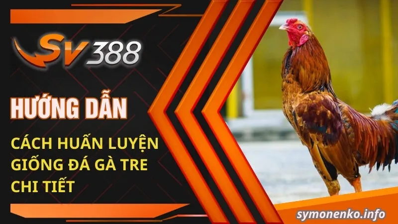 Đá Gà Tre Và Những Bí Mật Chưa Ai Tiết Lộ Cho Bạn  3 Hướng dẫn cách huấn luyện giống đá gà tre chi tiết