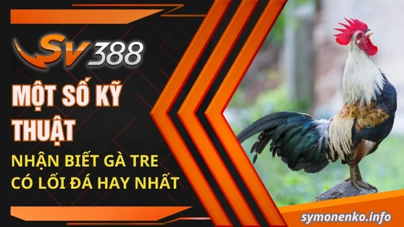 Đá Gà Tre Và Những Bí Mật Chưa Ai Tiết Lộ Cho Bạn  2 Một số kỹ thuật nhận biết gà tre có lối đá hay nhất