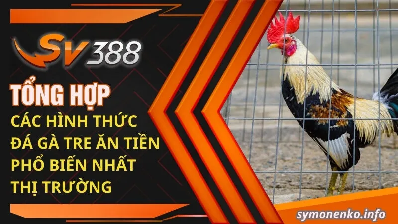 Đá Gà Tre Và Những Bí Mật Chưa Ai Tiết Lộ Cho Bạn  4 Tổng hợp các hình thức đá gà tre ăn tiền phổ biến nhất thị trường